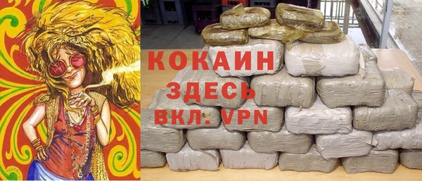 гидропоника Гусиноозёрск