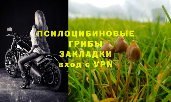 скорость Абаза