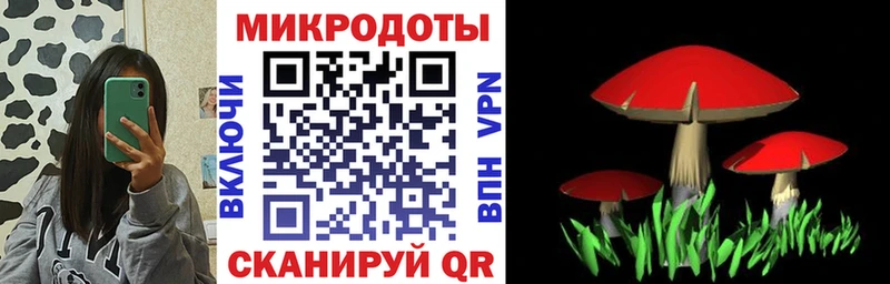 Псилоцибиновые грибы Cubensis  магазин    Александровск 