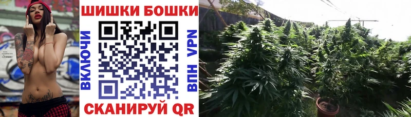 Шишки марихуана Amnesia  Александровск 